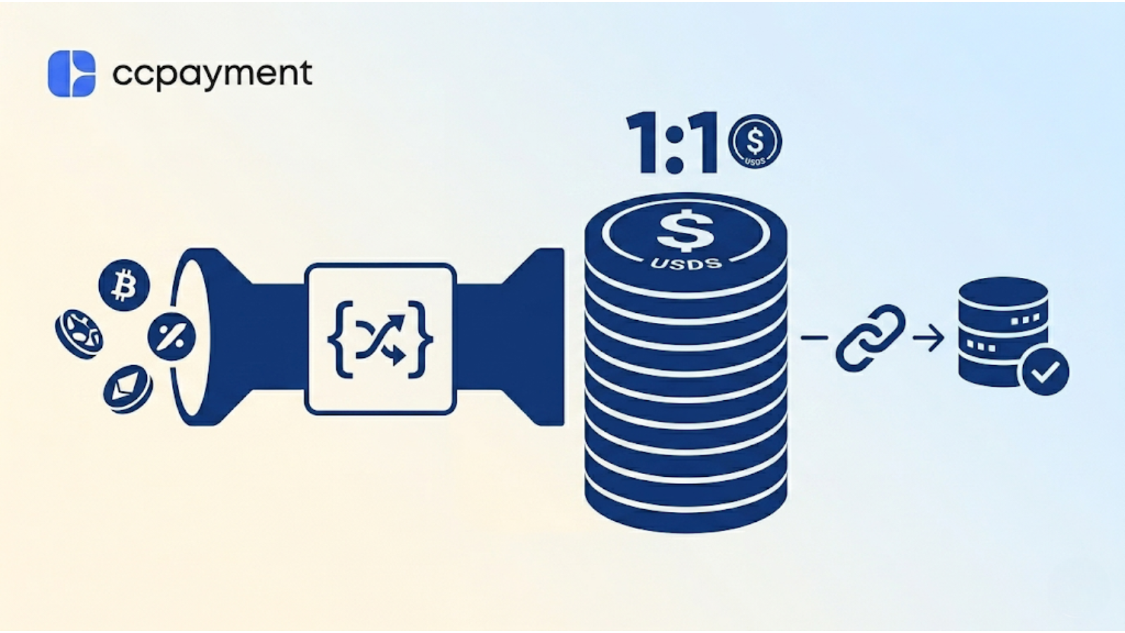 Crypto payment API converting volatile tokens into 1:1 USDS stablecoins for automated ERP reconciliation.