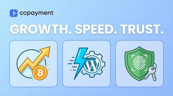 🚀 CCPayment Weekly Update: Visa's Crypto Surge, Plugin Quick-Start, and Account Security Hardening