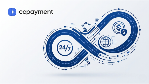 Web3 payment API delivering 24/7 borderless stablecoin settlement for global SaaS.