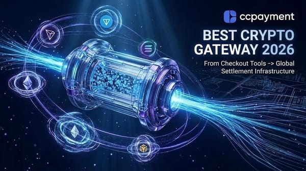 Global stablecoin payment gateway powering modern SaaS businesses, online stores, and cross-border merchants in 2026.