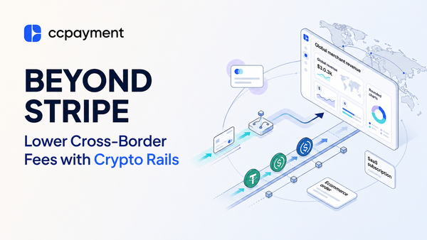 Best Stripe Alternatives in 2026: Why Global Merchants Are Moving to Crypto Rails