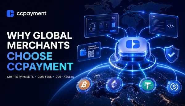 Why Global Merchants Are Switching to CCPayment